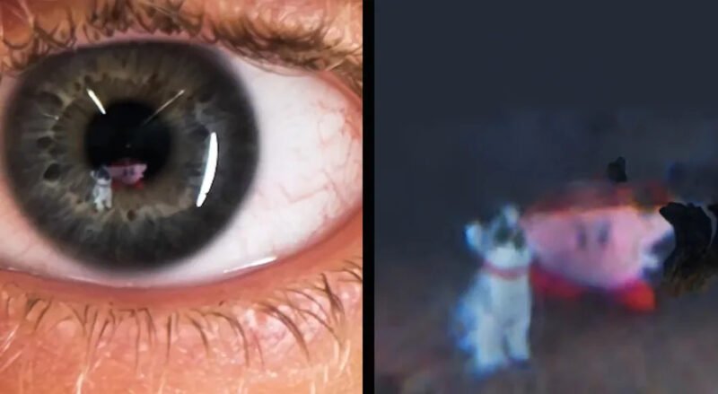 Split-panel scene. On the left, an extreme closeup of a person's eye. On the right, a fuzzy reconstruction of the scene, which shows a toy dog and a Kirby doll.