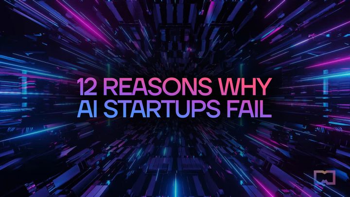 12 Reasons Why AI Startups Fail