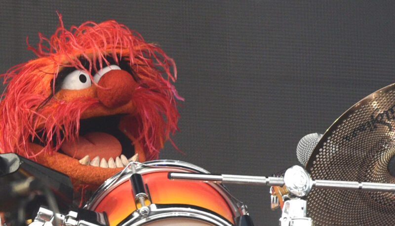 SAN FRANCISCO, CA - AUGUST 07:  Animal of Muppet Band Dr. Teeth & the Electric Mayhem performs during the 2016 Outside Lands Music And Arts Festival at Golden Gate Park on August 7, 2016 in San Francisco, California.  (Photo by C Flanigan/WireImage)