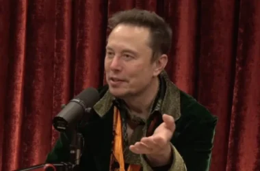Elon Musk on "The Joe Rogan Experience." Image: The Joe Rogan Experience