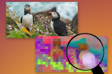Photo illustration: At left, a photo of two puffins on a grassy cliff. At right is a heavily pixelated version of the photo, with a magnifying glass showing one of the puffins not pixelated but blurred. The pixelated/zoomed in area is in a mix of bright colors.